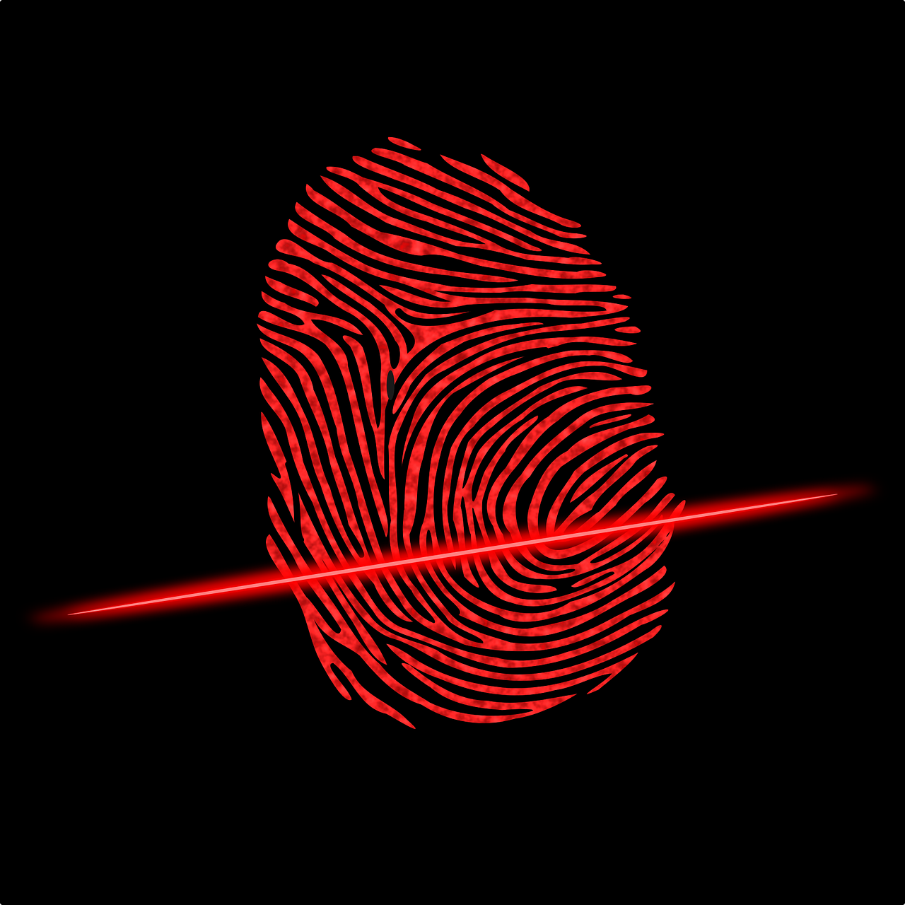 fingerprint